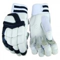 Cricket Gloves