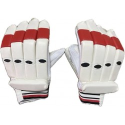 Cricket Gloves