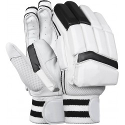 Cricket Gloves